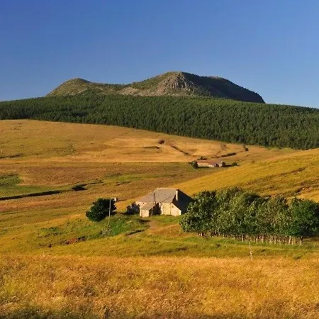à Avec Terrasse Et Proximité Dunières - Fr-1-582-264 Saint-Romain-Lachalm