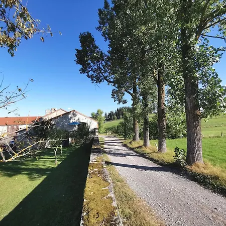 A Avec Terrasse Et Proximite Dunieres - Fr-1-582-264 Saint-Romain-Lachalm