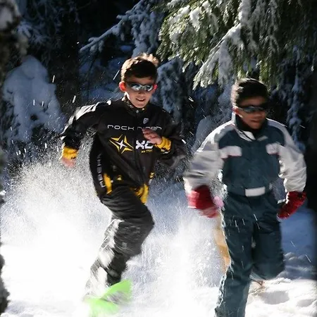 à Avec Terrasse Et Proximité Dunières - Fr-1-582-264 * Saint-Romain-Lachalm